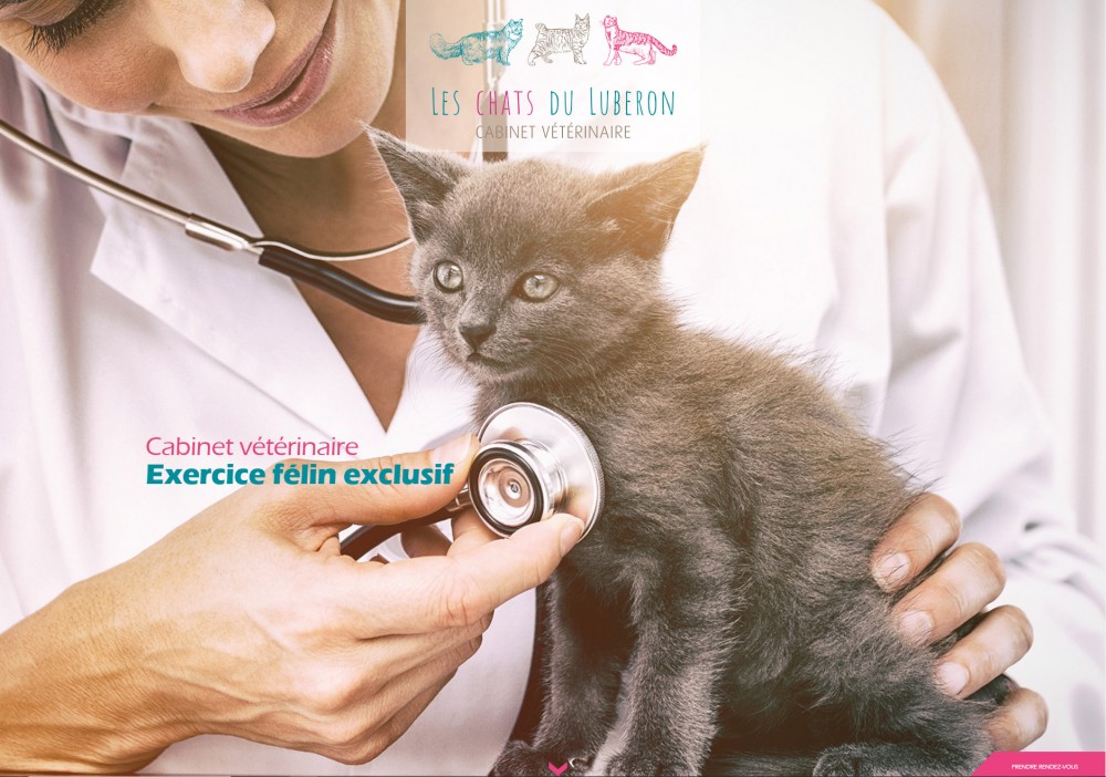Création d'un site internet pour une clinique vétérinaire en Vaucluse